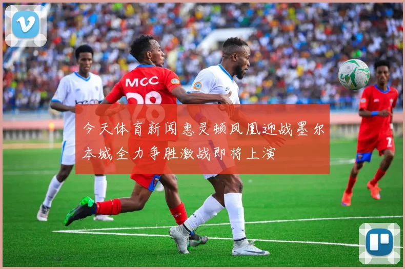 今天体育新闻惠灵顿凤凰迎战墨尔本城全力争胜激战即将上演